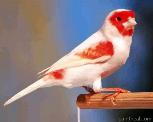 Red Canary Painting By Numbers Kits