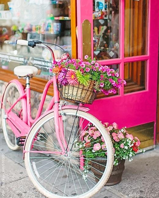 Pink Bike With Beautiful Flowers NEW Painting By Numbers Kits