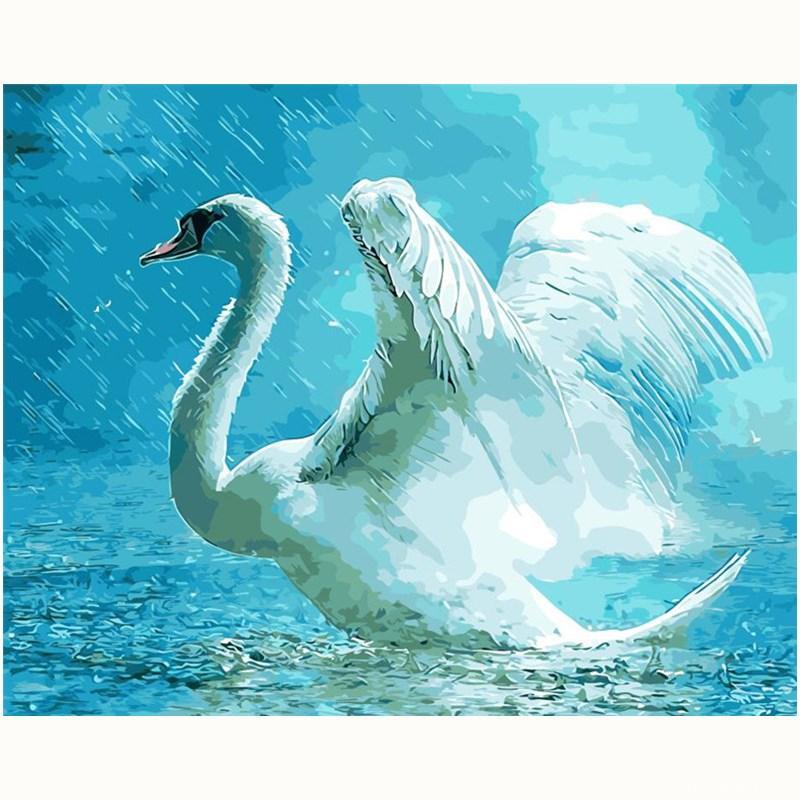 Swan In Rain Painting By Numbers Kits