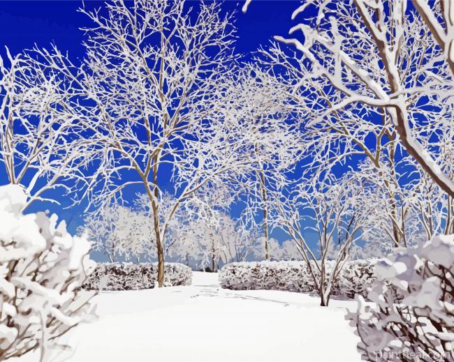 Winter Tree In Snow Painting By Numbers Kits
