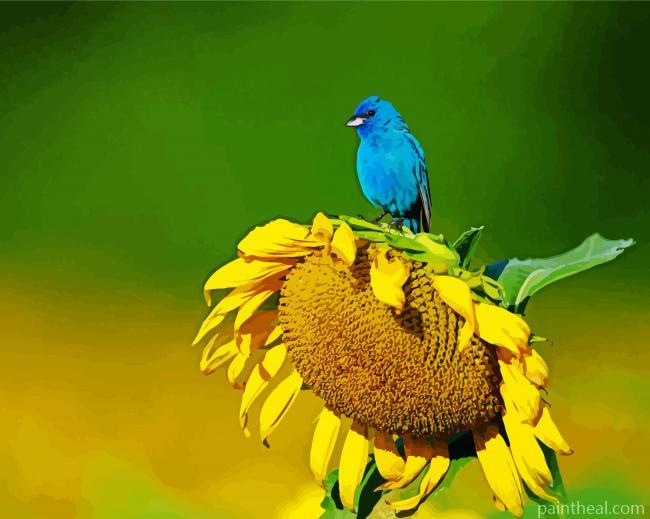 Blue Bird And Sunflower Painting By Numbers Kits