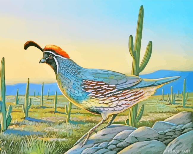 Quail Bird Painting By Numbers Kits