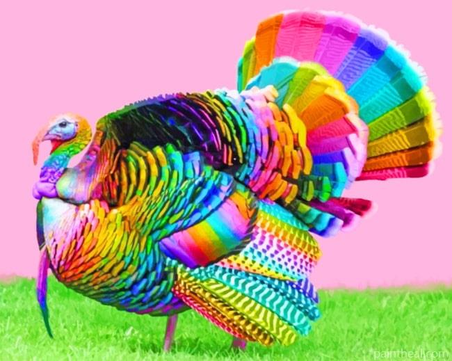 Rainbow Peacock Painting By Numbers Kits