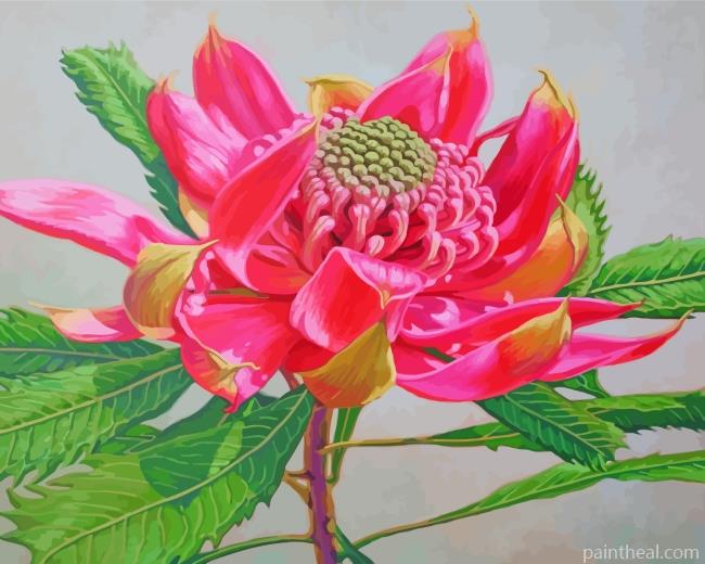 Pink Waratah Painting By Numbers Kits