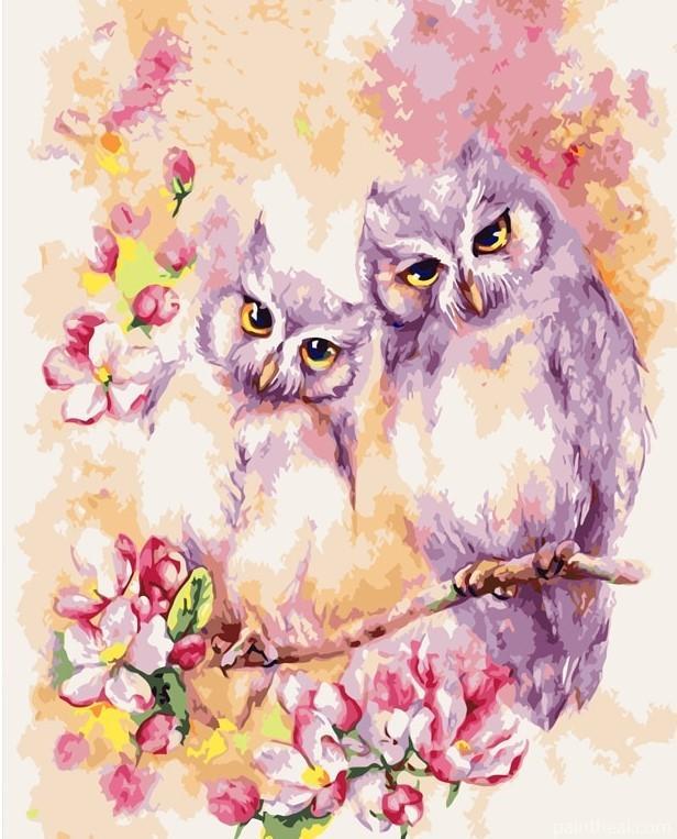 Purple Owls Painting By Numbers Kits