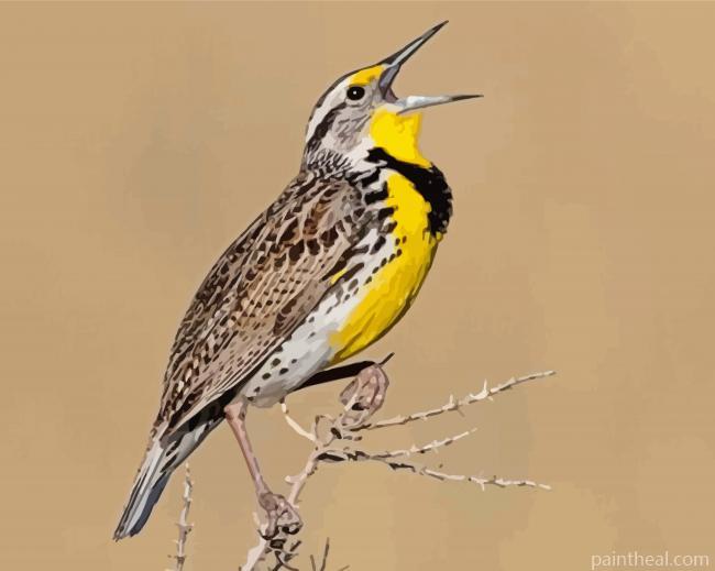 The Western Meadowlark Bird Painting By Numbers Kits