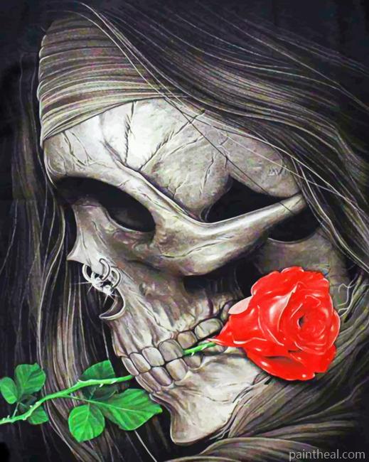 Skull Holding Rose Painting By Numbers Kits