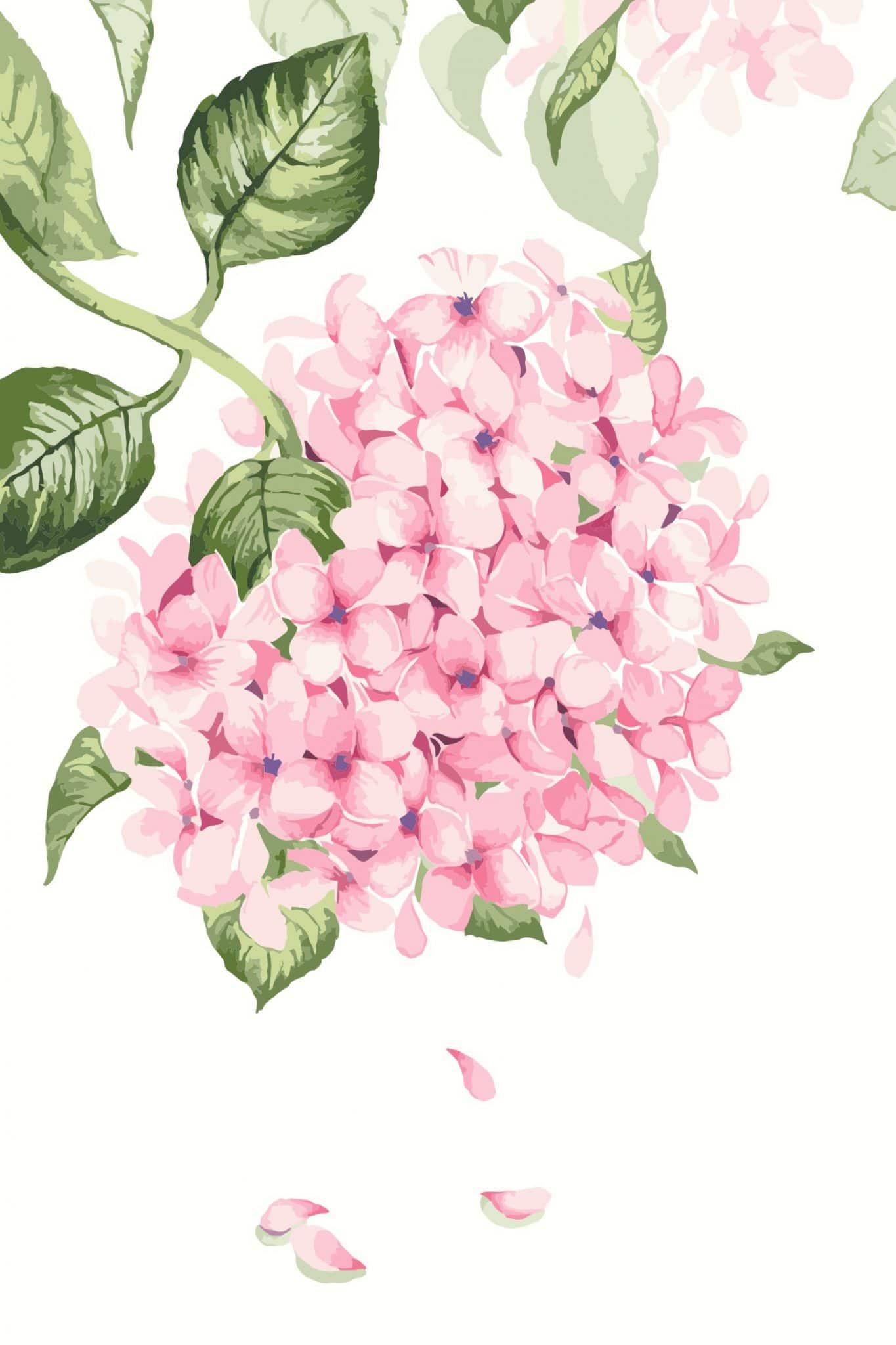 Pink Hydrangea Plants Painting By Numbers Kits
