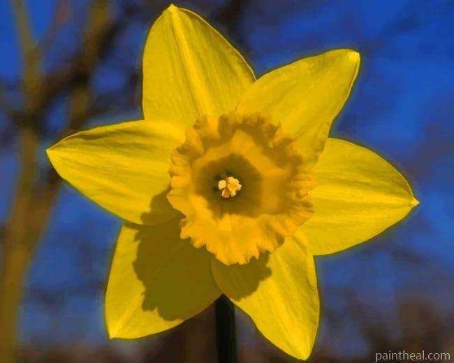 Yellow Daffodil Flower Painting By Numbers Kits