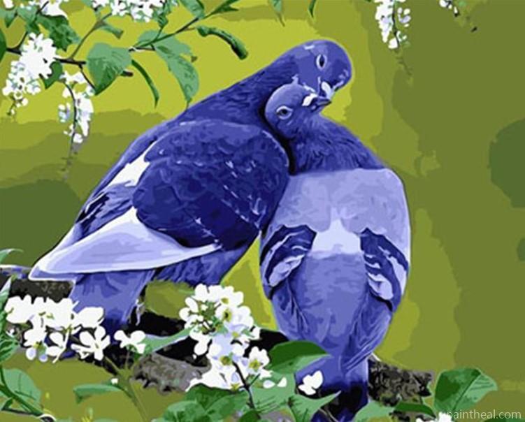 Pigeons Birds Love Painting By Numbers Kits