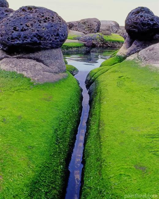 Mossy Inlet Iceland Painting By Numbers Kits