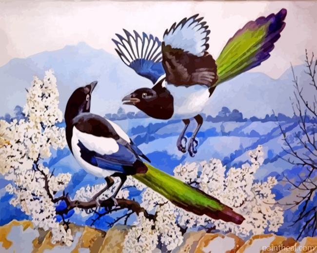 Magpies Birds Illustration Painting By Numbers Kits