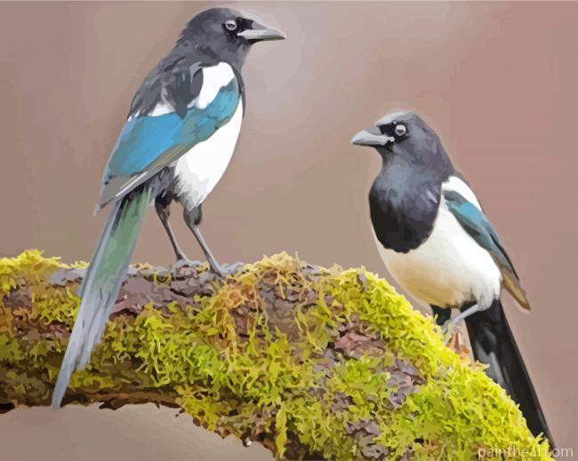 Magpies Painting By Numbers Kits