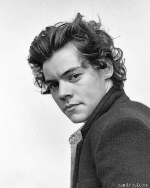 Cute Black And White Harry Styles Painting By Numbers Kits