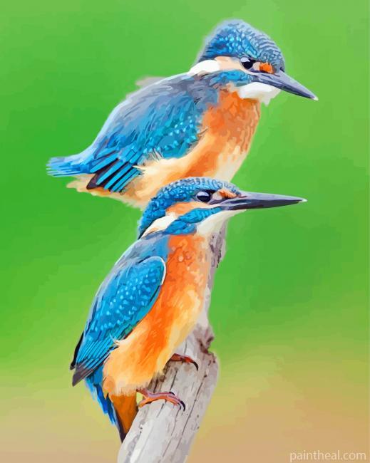 Blue Kingfishers Painting By Numbers Kits