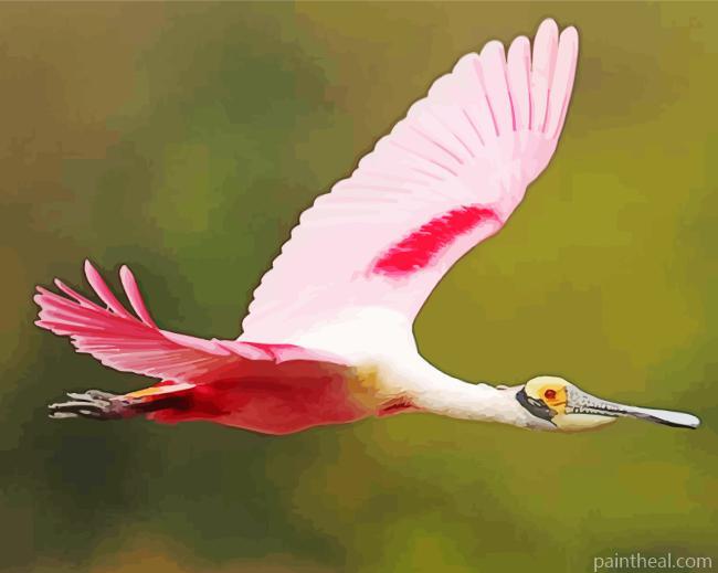 Roseate Spoonbills Bird Painting By Numbers Kits
