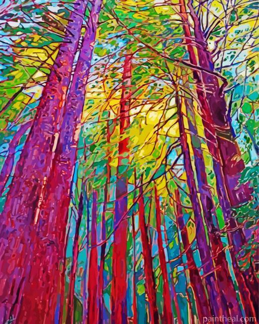 Redwoods Art Painting By Numbers Kits
