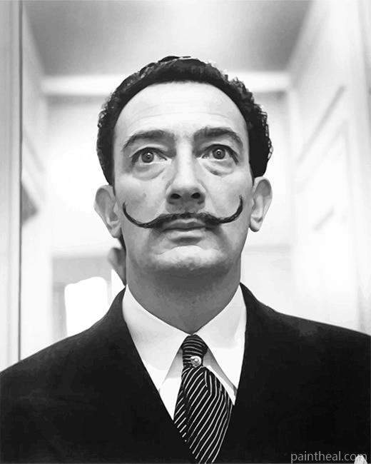 Dali Black and White Painting By Numbers Kits