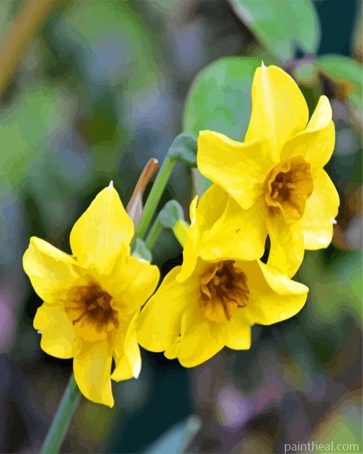 Yellow Narcissus Painting By Numbers Kits