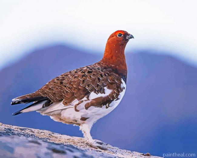 Willow Ptarmigan Painting By Numbers Kits