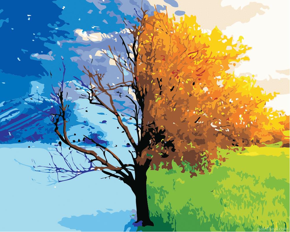 Tree In Seasons Painting By Numbers Kits