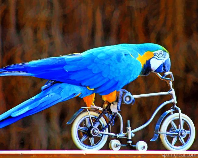Blue Parrot On Bicycle Painting By Numbers Kits