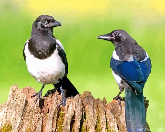 Magpies Birds Painting By Numbers Kits