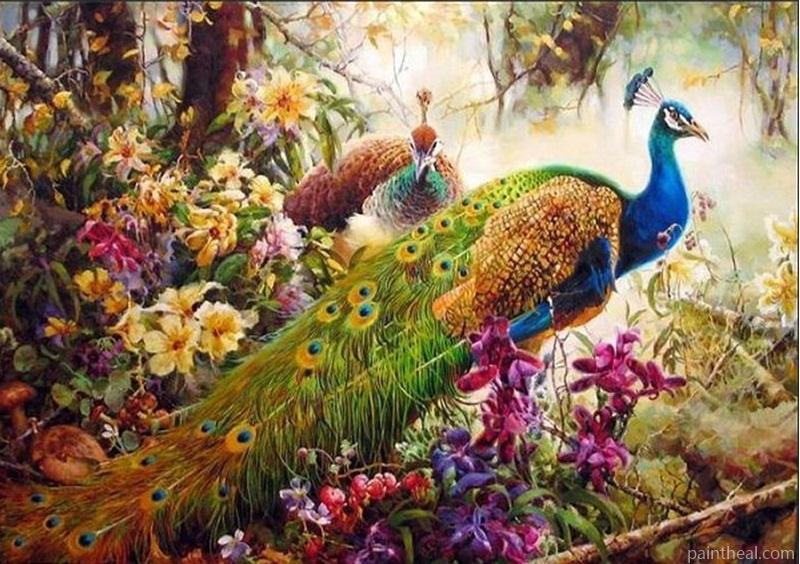 Peafowls In Nature Painting By Numbers Kits