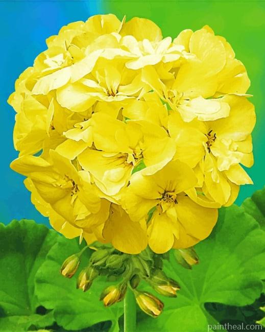 Yellow Geranium Flower Painting By Numbers Kits