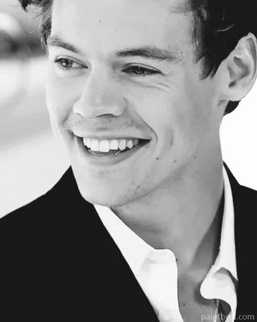 Harry styles Black And White Painting By Numbers Kits