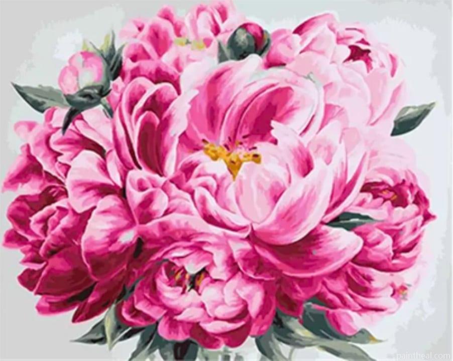 Pink Peony Flowers Painting By Numbers Kits