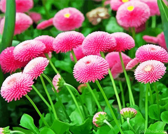 Pink Perennial Flowers Painting By Numbers Kits