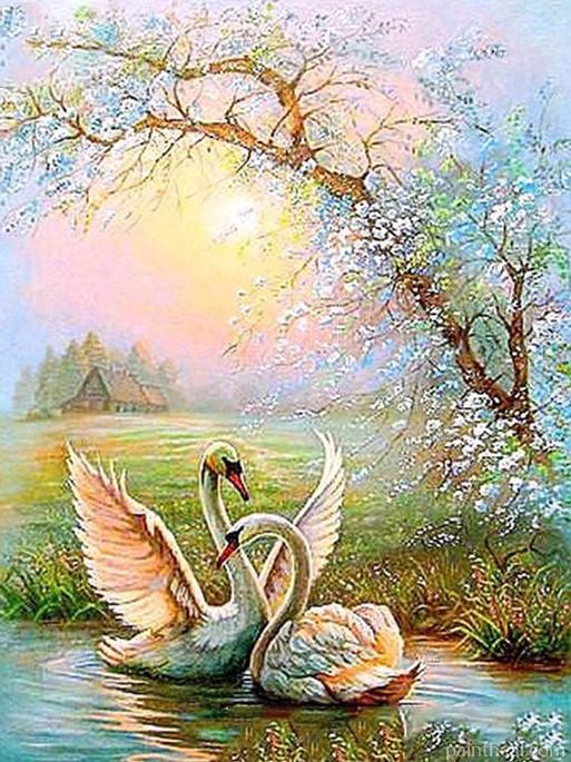 Swans Lovers Painting By Numbers Kits