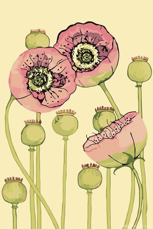 Pink Poppies Art Painting By Numbers Kits