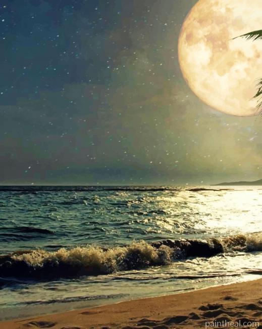 Moon At The Beach Painting By Numbers Kits