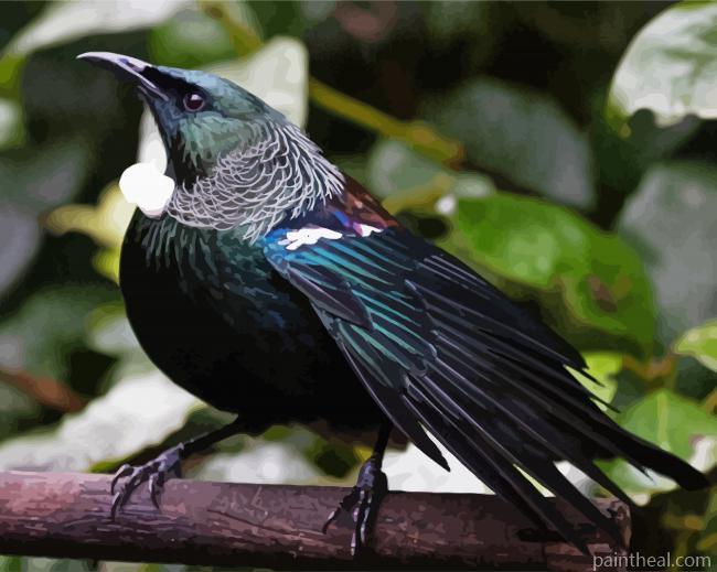 Honeyeater Tui Painting By Numbers Kits