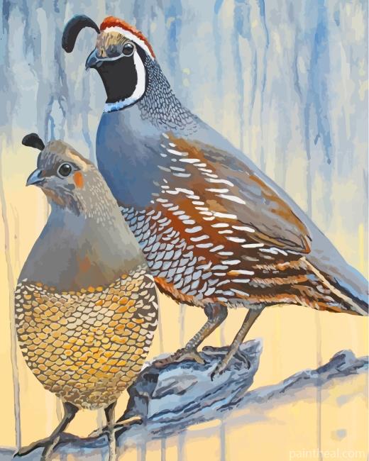 Quails Birds Painting By Numbers Kits