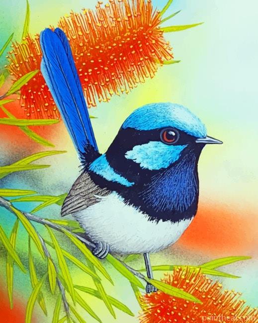 Blue Wren Bird Painting By Numbers Kits