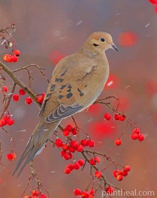 Mourning Dove Painting By Numbers Kits