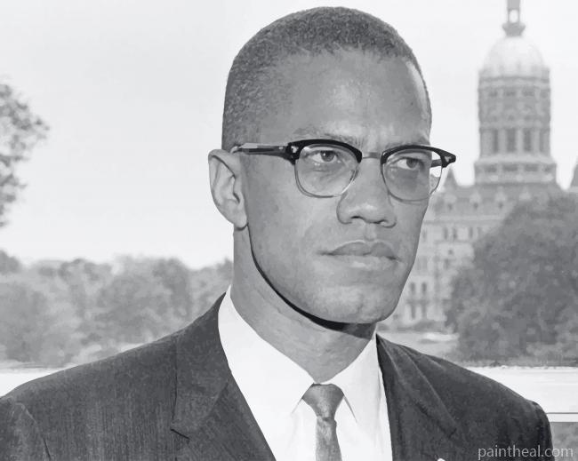 Malcolm-X Painting By Numbers Kits
