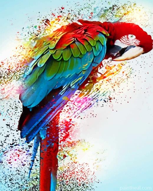 Colors Splash Parrot Painting By Numbers Kits