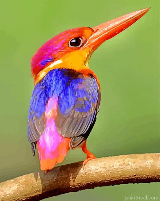 Colorful Kingfisher Painting By Numbers Kits