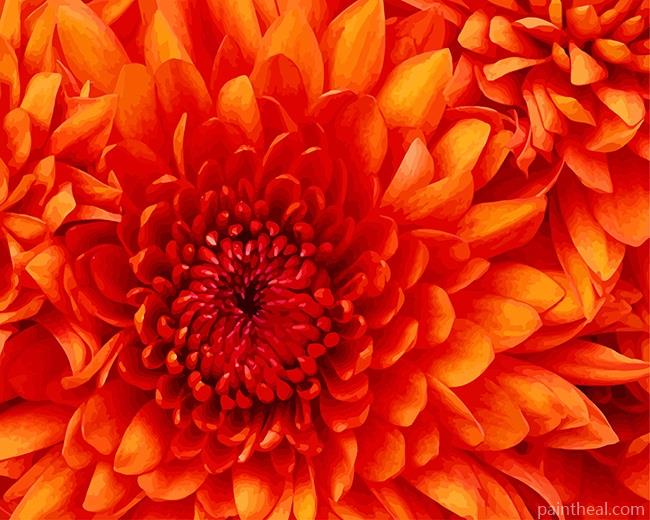 Orange Dahlia Painting By Numbers Kits