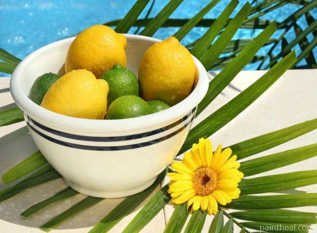 Fresh Lemon Flower Fruits Flowers Painting By Numbers Kits