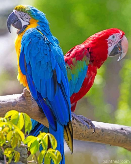 Blue And Scarlet Macaws Painting By Numbers Kits