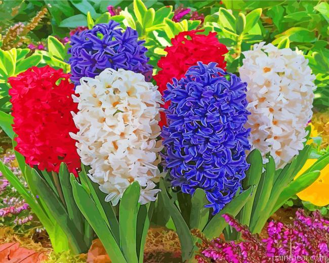 Hyacinth Flowers Painting By Numbers Kits