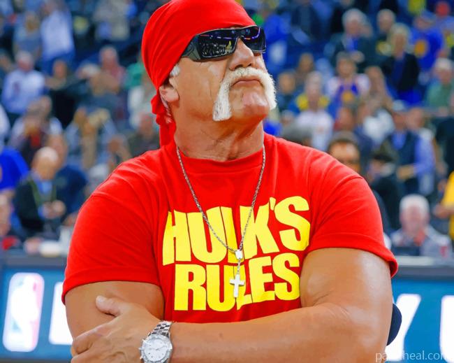 Terry Eugene Bollea Hulk Painting By Numbers Kits