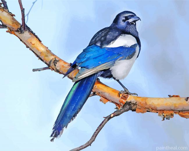 Lonely Magpie Bird Painting By Numbers Kits