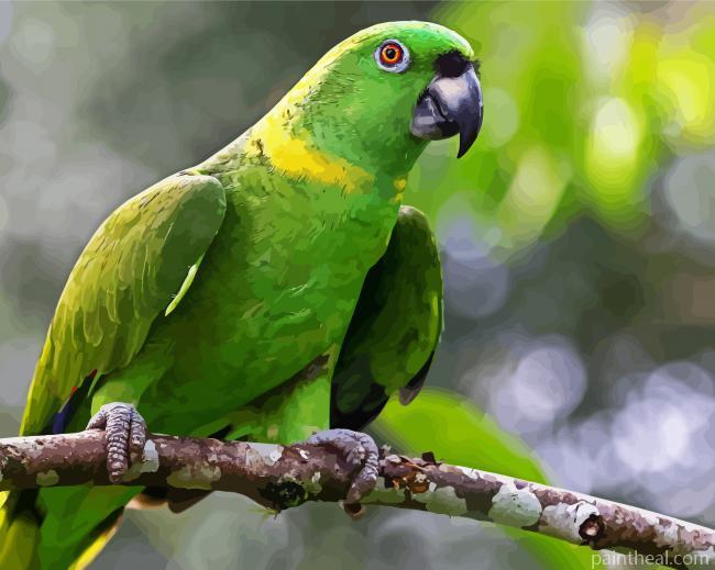 Amazon Parrot On Branch Painting By Numbers Kits