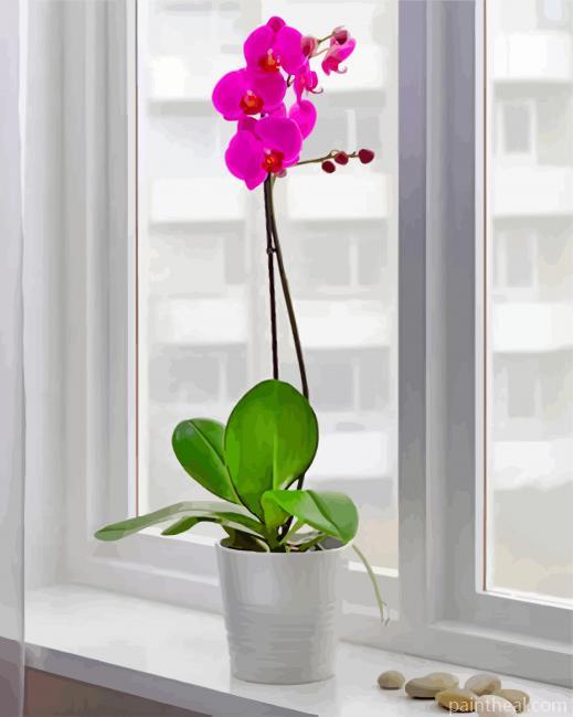 Blue Orchidea Painting By Numbers Kits